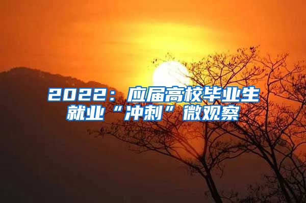 2022：应届高校毕业生就业“冲刺”微观察