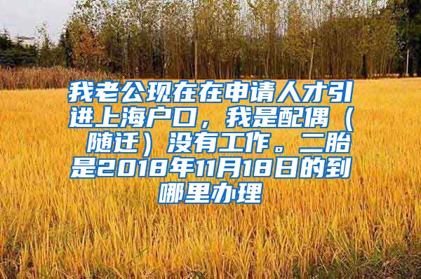 我老公现在在申请人才引进上海户口，我是配偶（ 随迁）没有工作。二胎是2018年11月18日的到哪里办理