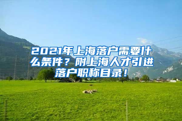 2021年上海落户需要什么条件？附上海人才引进落户职称目录！