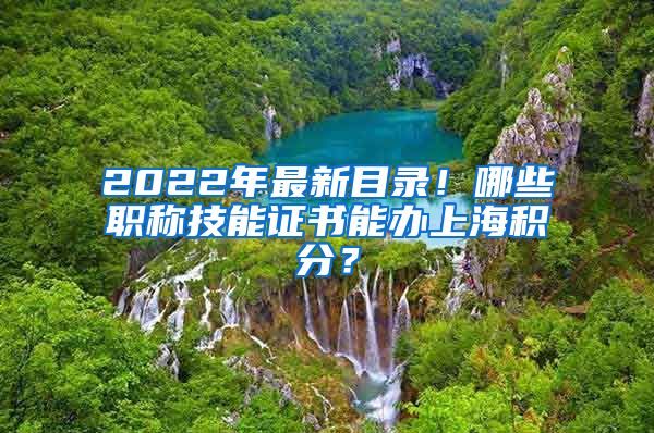 2022年最新目录！哪些职称技能证书能办上海积分？