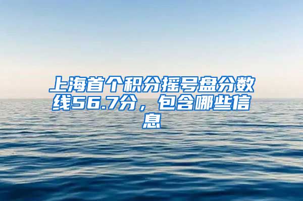 上海首个积分摇号盘分数线56.7分，包含哪些信息