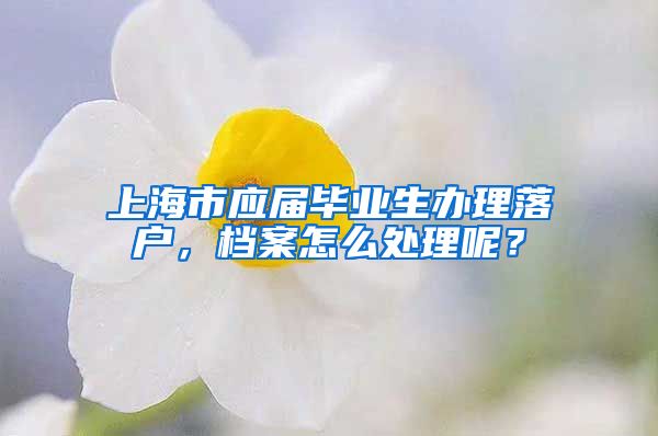 上海市应届毕业生办理落户，档案怎么处理呢？