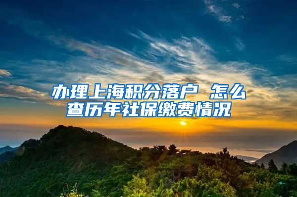 办理上海积分落户 怎么查历年社保缴费情况