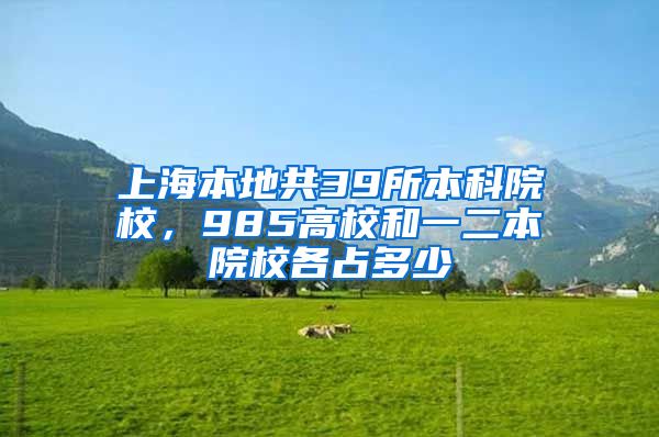 上海本地共39所本科院校，985高校和一二本院校各占多少