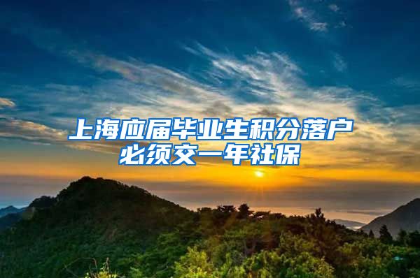 上海应届毕业生积分落户必须交一年社保