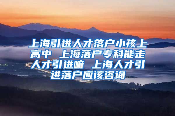 上海引进人才落户小孩上高中 上海落户专科能走人才引进嘛 上海人才引进落户应该咨询