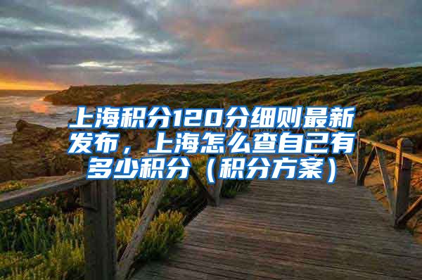 上海积分120分细则最新发布，上海怎么查自己有多少积分（积分方案）