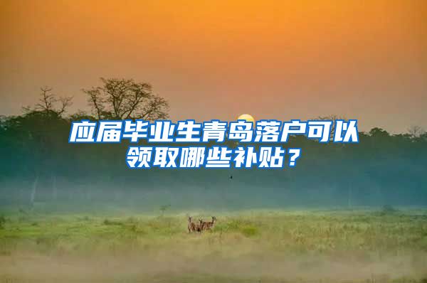 应届毕业生青岛落户可以领取哪些补贴？