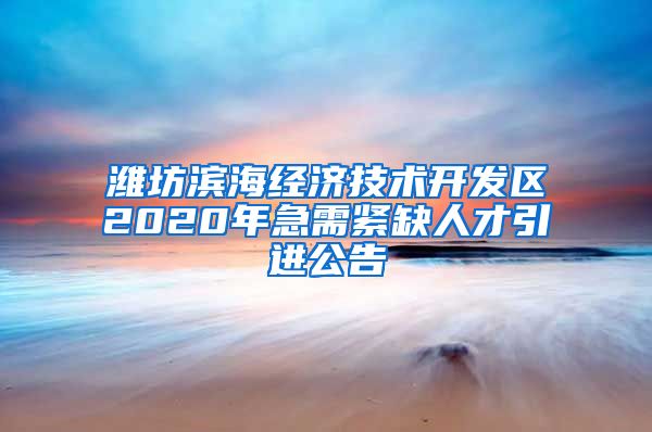 潍坊滨海经济技术开发区2020年急需紧缺人才引进公告