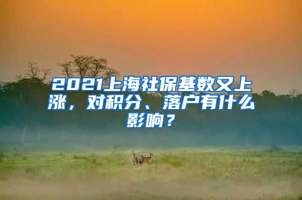 2021上海社保基数又上涨，对积分、落户有什么影响？