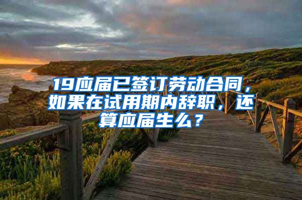 19应届已签订劳动合同，如果在试用期内辞职，还算应届生么？