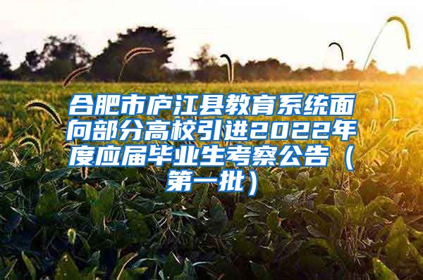 合肥市庐江县教育系统面向部分高校引进2022年度应届毕业生考察公告（第一批）