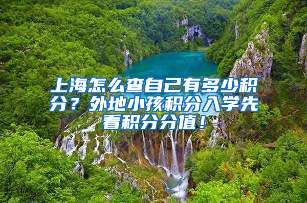 上海怎么查自己有多少积分？外地小孩积分入学先看积分分值！