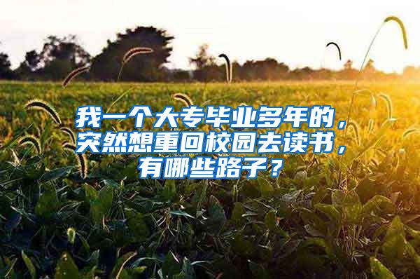 我一个大专毕业多年的，突然想重回校园去读书，有哪些路子？