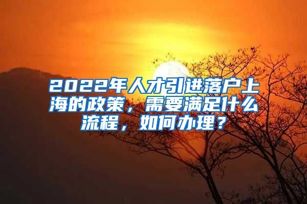 2022年人才引进落户上海的政策，需要满足什么流程，如何办理？