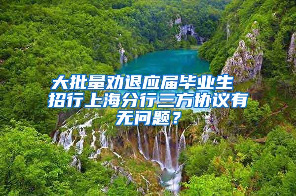 大批量劝退应届毕业生 招行上海分行三方协议有无问题？