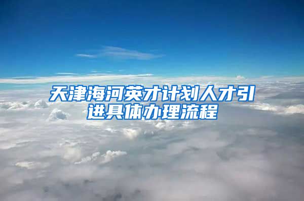 天津海河英才计划人才引进具体办理流程