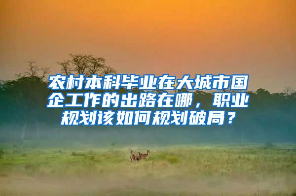 农村本科毕业在大城市国企工作的出路在哪，职业规划该如何规划破局？