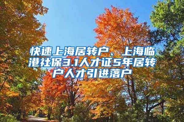 快速上海居转户、上海临港社保3.1人才证5年居转户人才引进落户