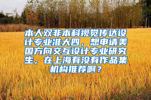 本人双非本科视觉传达设计专业准大四，想申请美国方向交互设计专业研究生，在上海有没有作品集机构推荐啊？