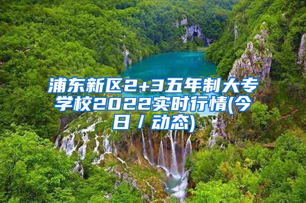 浦东新区2+3五年制大专学校2022实时行情(今日／动态)