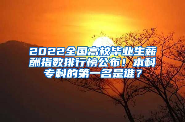 2022全国高校毕业生薪酬指数排行榜公布！本科专科的第一名是谁？