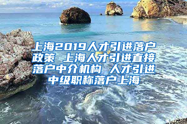 上海2019人才引进落户政策 上海人才引进直接落户中介机构 人才引进中级职称落户上海