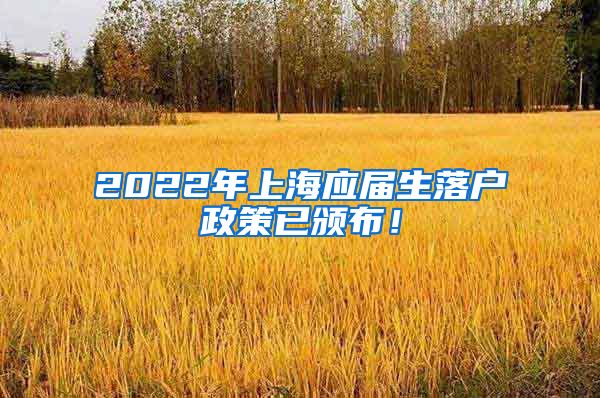 2022年上海应届生落户政策已颁布！