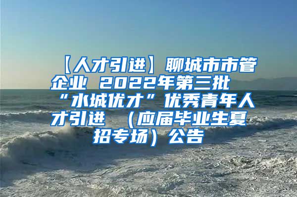 【人才引进】聊城市市管企业 2022年第三批“水城优才”优秀青年人才引进 （应届毕业生夏招专场）公告