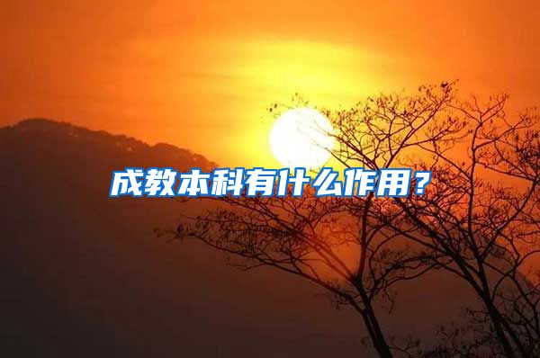 成教本科有什么作用？