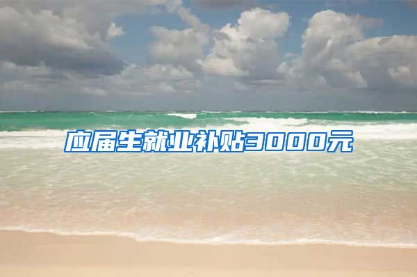 应届生就业补贴3000元