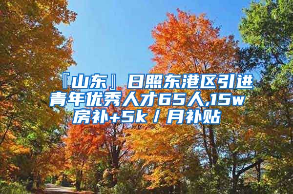 『山东』日照东港区引进青年优秀人才65人,15w房补+5k／月补贴