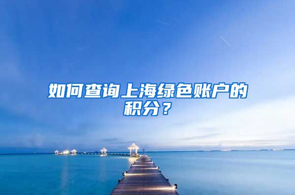 如何查询上海绿色账户的积分？