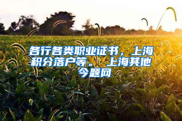 各行各类职业证书，上海积分落户等。 上海其他 今题网