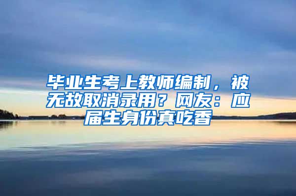 毕业生考上教师编制，被无故取消录用？网友：应届生身份真吃香