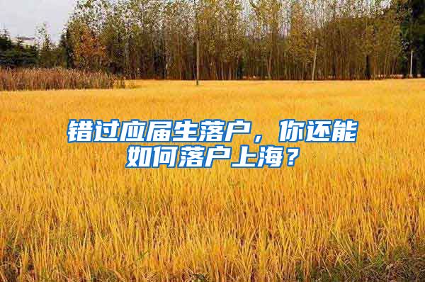 错过应届生落户，你还能如何落户上海？