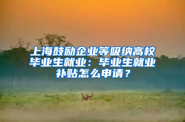 上海鼓励企业等吸纳高校毕业生就业：毕业生就业补贴怎么申请？