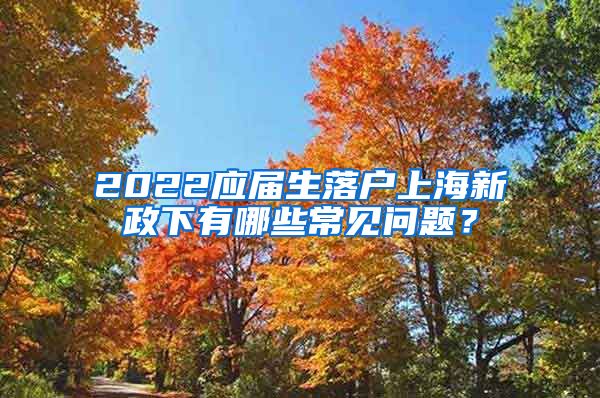 2022应届生落户上海新政下有哪些常见问题？