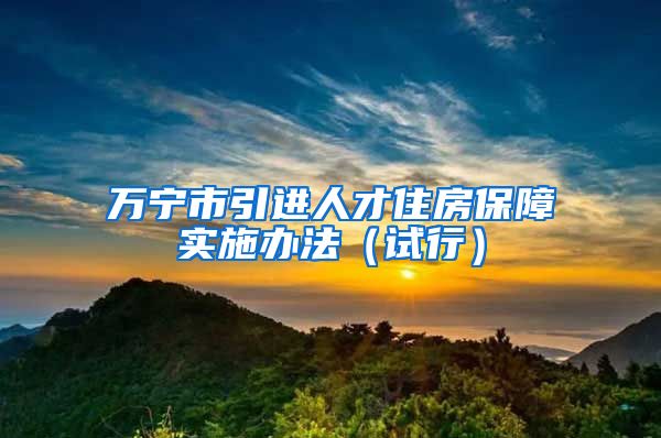 万宁市引进人才住房保障实施办法（试行）