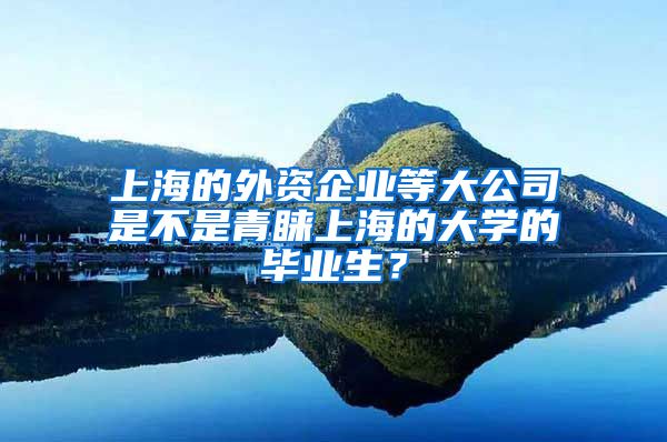 上海的外资企业等大公司是不是青睐上海的大学的毕业生？