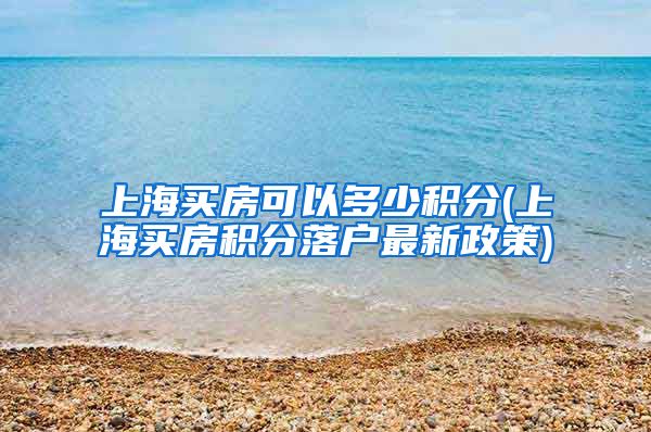 上海买房可以多少积分(上海买房积分落户最新政策)