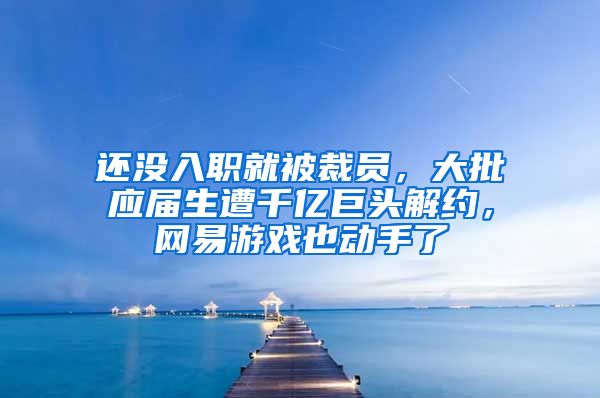 还没入职就被裁员，大批应届生遭千亿巨头解约，网易游戏也动手了