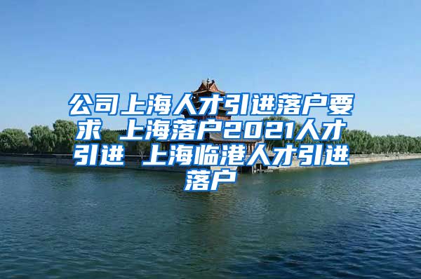 公司上海人才引进落户要求 上海落户2021人才引进 上海临港人才引进落户