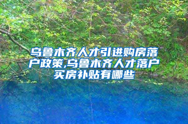 乌鲁木齐人才引进购房落户政策,乌鲁木齐人才落户买房补贴有哪些