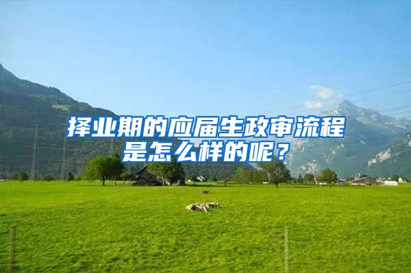 择业期的应届生政审流程是怎么样的呢？