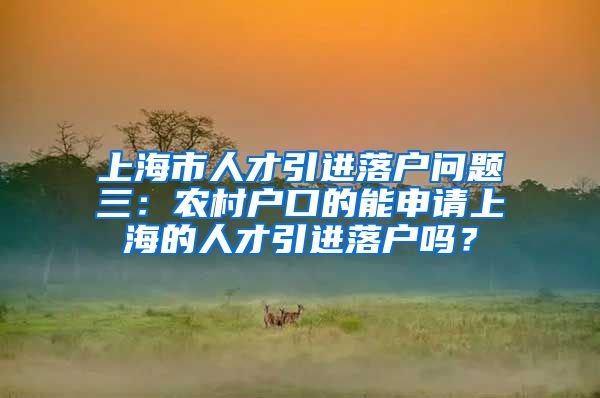 上海市人才引进落户问题三：农村户口的能申请上海的人才引进落户吗？