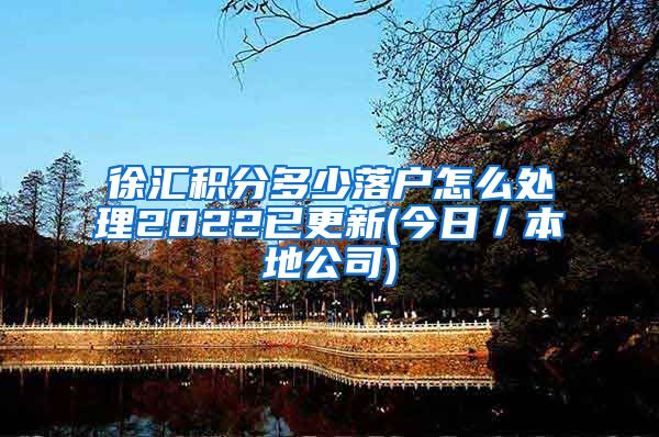 徐汇积分多少落户怎么处理2022已更新(今日／本地公司)