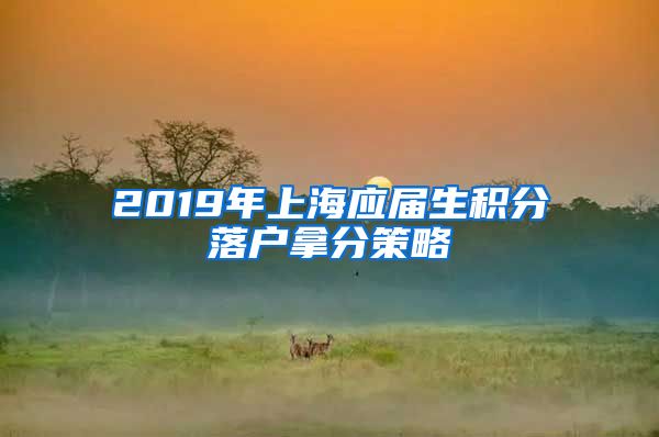 2019年上海应届生积分落户拿分策略