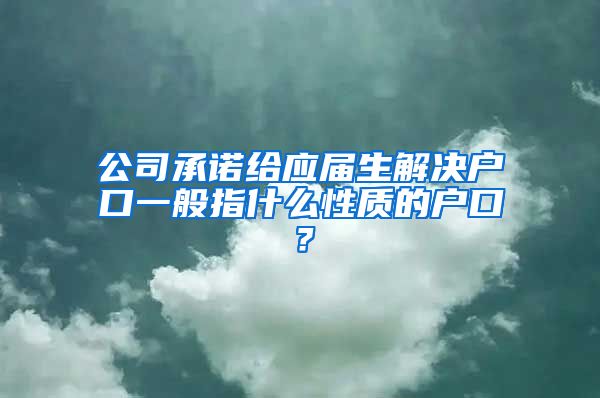 公司承诺给应届生解决户口一般指什么性质的户口？