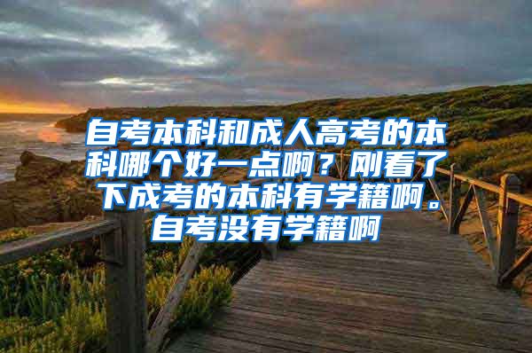 自考本科和成人高考的本科哪个好一点啊？刚看了下成考的本科有学籍啊。自考没有学籍啊